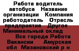 Работа водитель автобуса › Название организации ­ Компания-работодатель › Отрасль предприятия ­ Другое › Минимальный оклад ­ 45 000 - Все города Работа » Вакансии   . Амурская обл.,Мазановский р-н